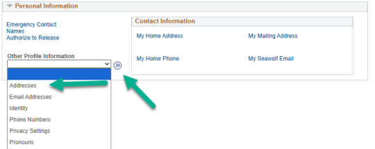 Other Profile Information drop-down selected and addresses highlighted