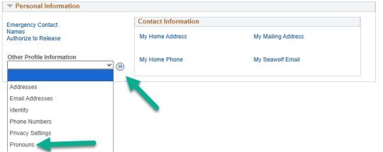 Other Profile Information drop-down selected and Pronouns highlighted