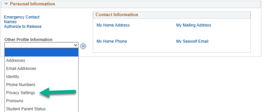 Other Profile Information drop-down selected and Privacy Settings highlighted