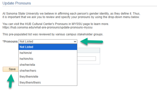 Pronouns drop-down displayed