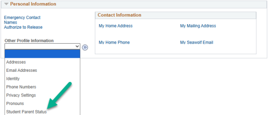 Other Profile Information drop-down selected and Student Parent Status highlighted
